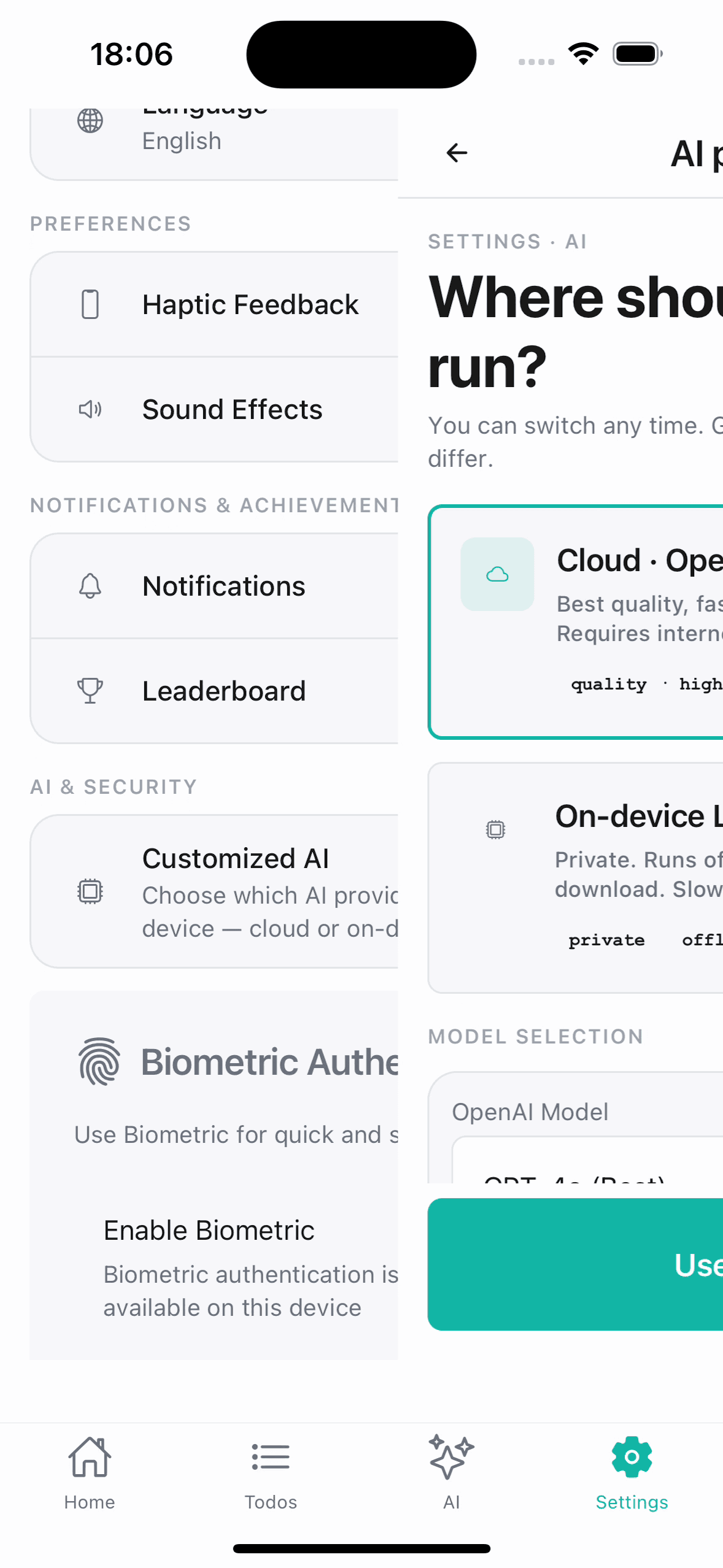 AI provider settings screen showing cloud model options, Gemini and OpenAI.